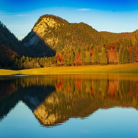 Ferienwohnungen Hollweger Inkl. Chiemgaukarte Ruhpolding Exteriér fotografie