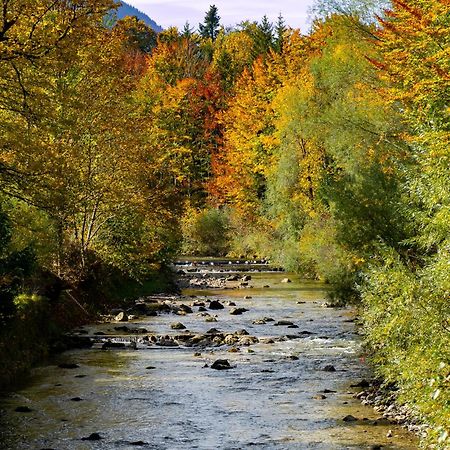 Ferienwohnungen Hollweger Inkl. Chiemgaukarte Ruhpolding Exteriér fotografie