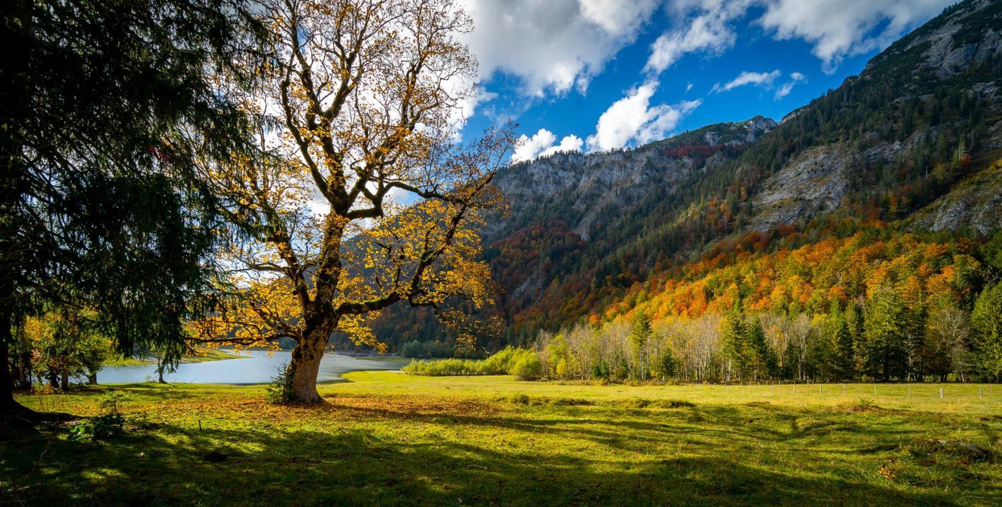 Ferienwohnungen Hollweger Inkl. Chiemgaukarte Ruhpolding Exteriér fotografie
