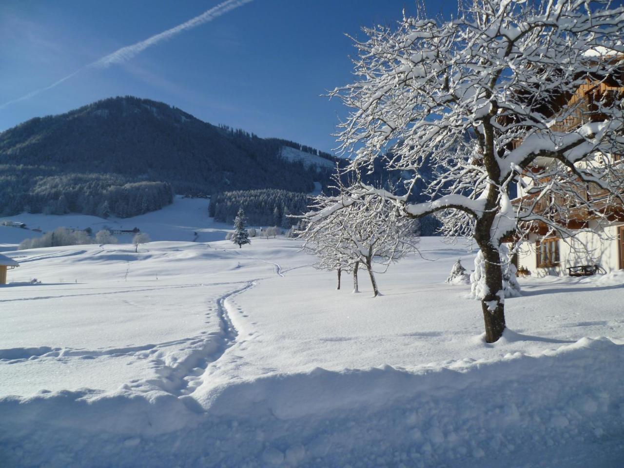 Ferienwohnungen Hollweger Inkl. Chiemgaukarte Ruhpolding Exteriér fotografie